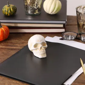 Cast Iron Human Skull Paperweight - Unique Desk Decor And Office Gift