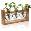 Plant Terrarium Propagation Station with 3 Heart Shaped Vases Wooden Stand Desktop Air Planter Bulb Glass Vase for Hydroponics Home Office Decor Gift