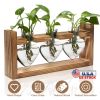 Plant Terrarium Propagation Station with 3 Heart Shaped Vases Wooden Stand Desktop Air Planter Bulb Glass Vase for Hydroponics Home Office Decor Gift