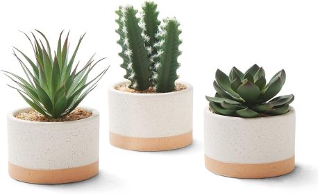 Artificial Succulent Plants in Ceramic Pots, Faux Assorted Succulents Fake Cactus Plants for Home Decor, Bedroom, Office, Desk, Living Room, Set of 3