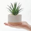 Artificial Succulent Plants in Ceramic Pots, Faux Assorted Succulents Fake Cactus Plants for Home Decor, Bedroom, Office, Desk, Living Room, Set of 3