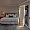 3 Color Lighting Mirror with LED Lights, 64"x21" Lighted Floor Standing Mirror with Stand, Wall Mounted Hanging